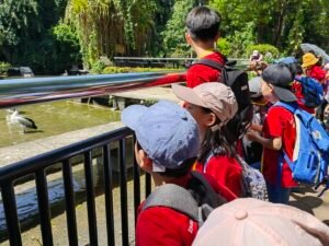 Holiday Camp-24 33