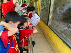 Holiday Camp-24 35