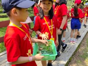 Holiday Camp-24 42