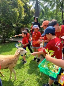 Holiday Camp-24 75