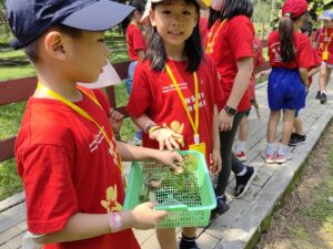 Holiday Camp-24 42