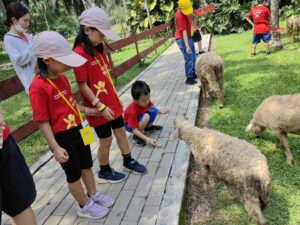 Holiday Camp-24 43