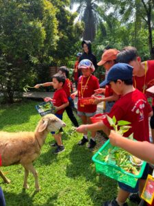 Holiday Camp-24 75